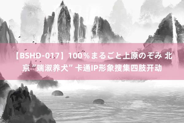 【BSHD-017】100％まるごと上原のぞみ 北京“端淑养犬”卡通IP形象搜集四肢开动