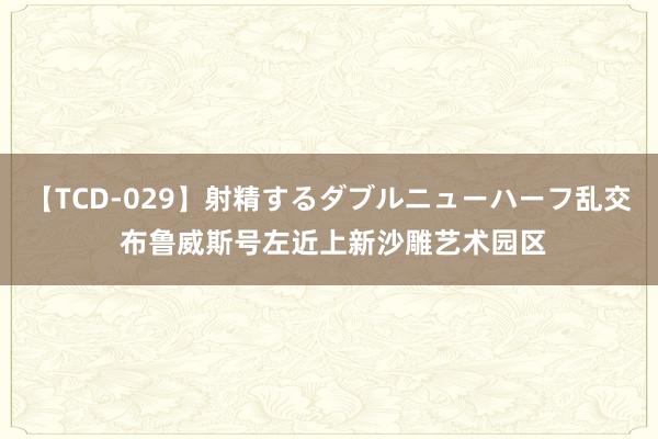 【TCD-029】射精するダブルニューハーフ乱交 布鲁威斯号左近上新沙雕艺术园区