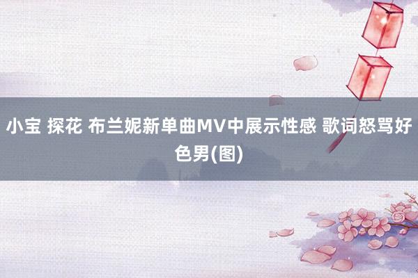 小宝 探花 布兰妮新单曲MV中展示性感 歌词怒骂好色男(图)