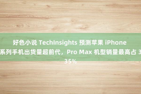 好色小说 TechInsights 预测苹果 iPhone 16 系列手机出货量超前代，Pro Max 机型销量最高占 35%