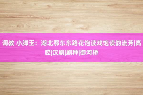 调教 小脚玉：湖北鄂东东路花饱读戏饱读韵流芳|高腔|汉剧|剧种|御河桥