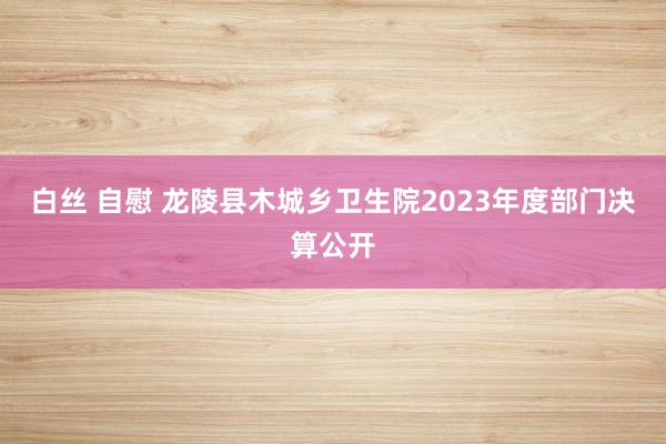 白丝 自慰 龙陵县木城乡卫生院2023年度部门决算公开