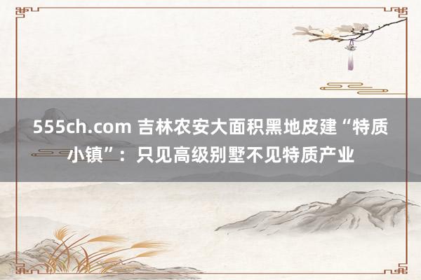 555ch.com 吉林农安大面积黑地皮建“特质小镇”：只见高级别墅不见特质产业