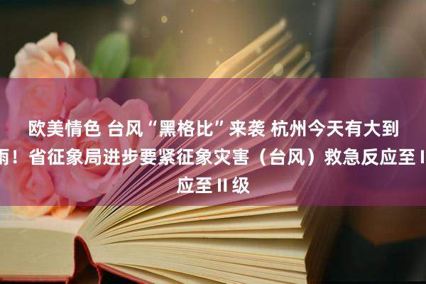 欧美情色 台风“黑格比”来袭 杭州今天有大到暴雨！省征象局进步要紧征象灾害（台风）救急反应至Ⅱ级