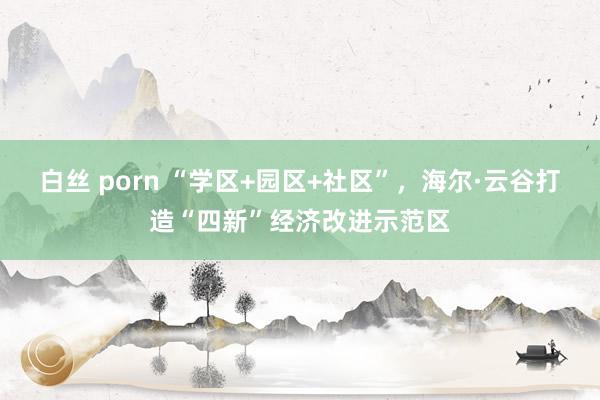 白丝 porn “学区+园区+社区”，海尔·云谷打造“四新”经济改进示范区