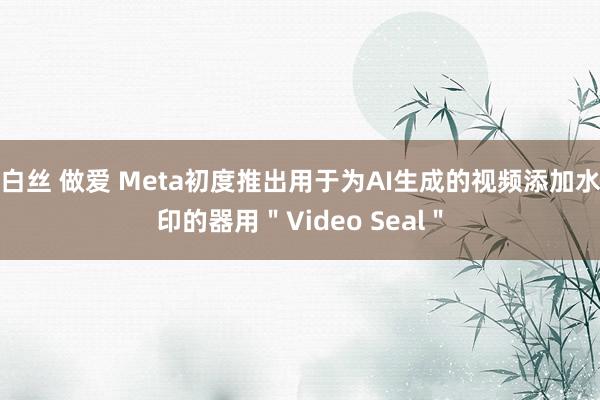 白丝 做爱 Meta初度推出用于为AI生成的视频添加水印的器用＂Video Seal＂