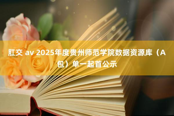 肛交 av 2025年度贵州师范学院数据资源库（A包）单一起首公示